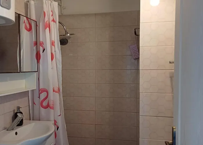 Apartament Apartament Tomis Ii *